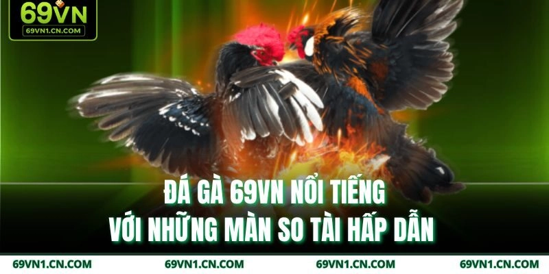 Đá gà 69VN nổi tiếng với những màn so tài hấp dẫn 
