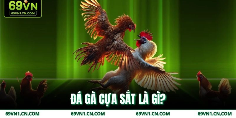 Đá gà cựa sắt là gì? Đá gà cựa sắt là gì?