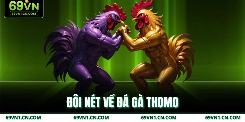 Đôi nét về đá gà thomo