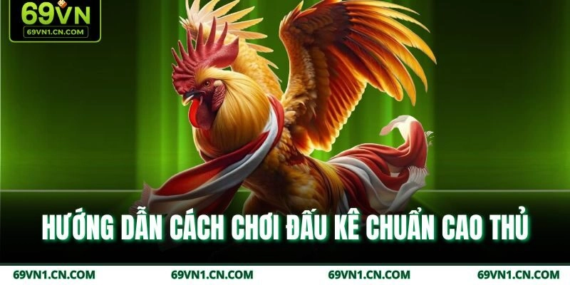 Hướng dẫn cách chơi đấu kê chuẩn cao thủ Hướng dẫn cách chơi đấu kê chuẩn cao thủ