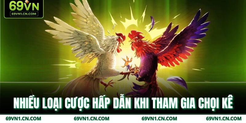 Nhiều loại cược hấp dẫn khi tham gia chọi kê 